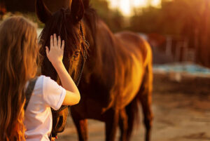 equine facilitated psychotherapy, girl brushing a horse's head