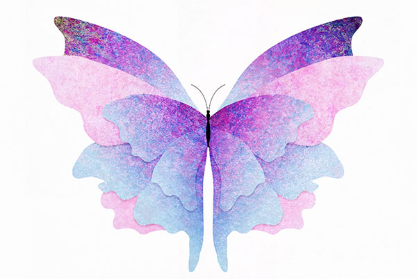 Life transitions, butterfly illustration, analogy of change, growth, evolution